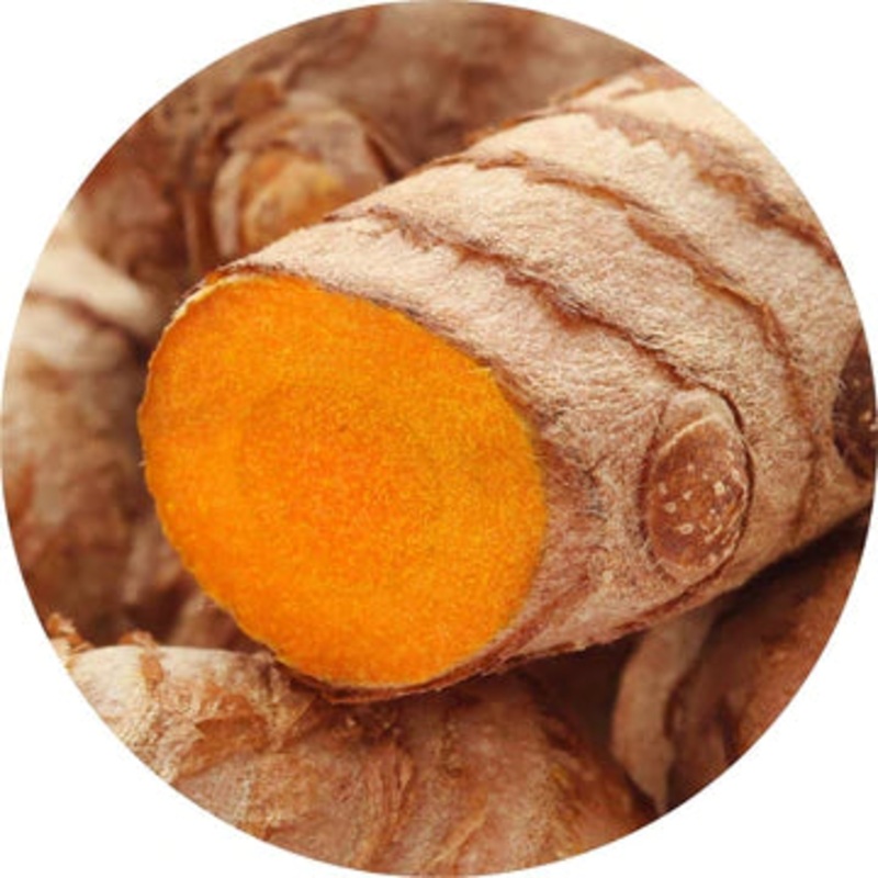 Turmeric Essential Oil – Living Libations 5ml