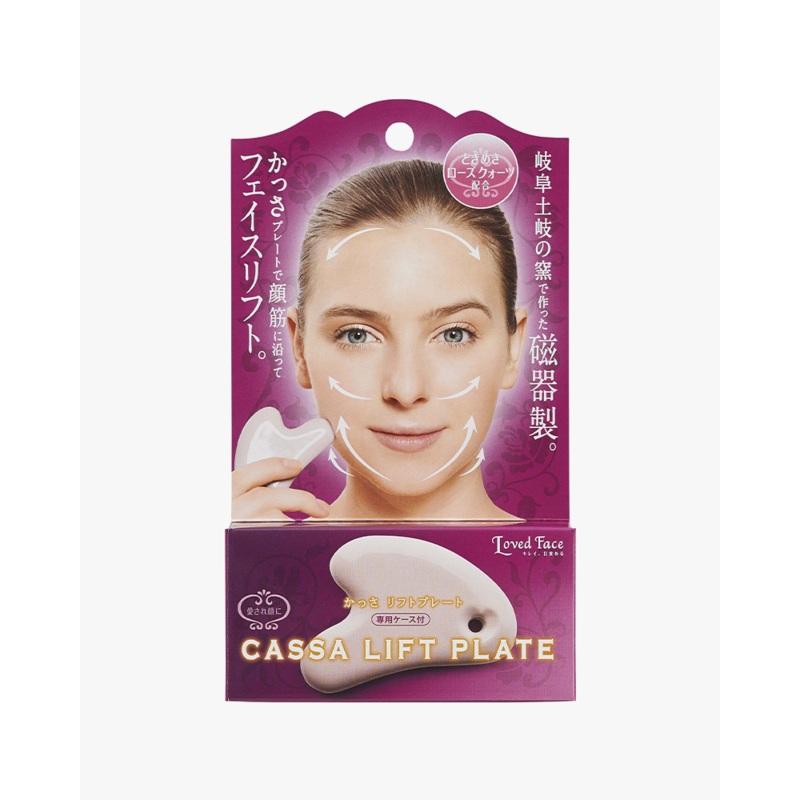 Cogit Cassa Lift Plate