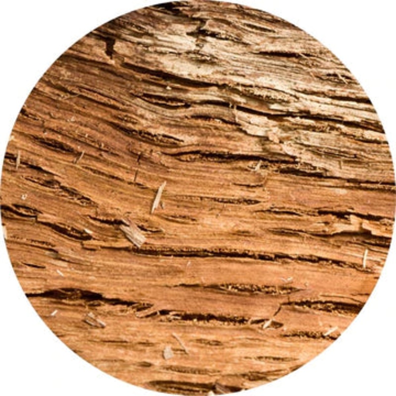 Balsam Amyris Essential Oil – Living Libations 5ml