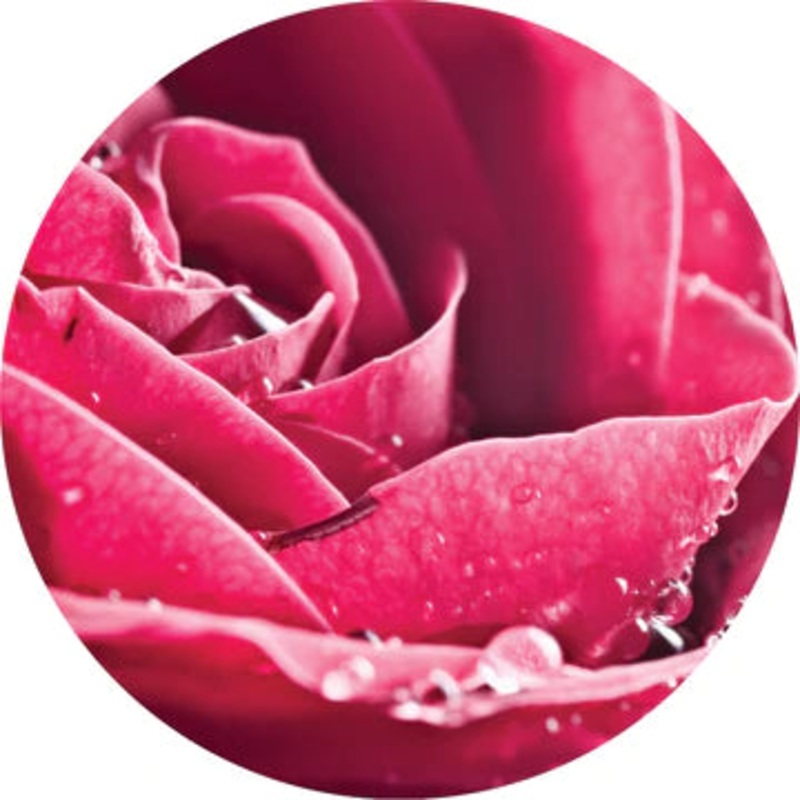 Rose Attar Essential Oil – Living Libations 5ml