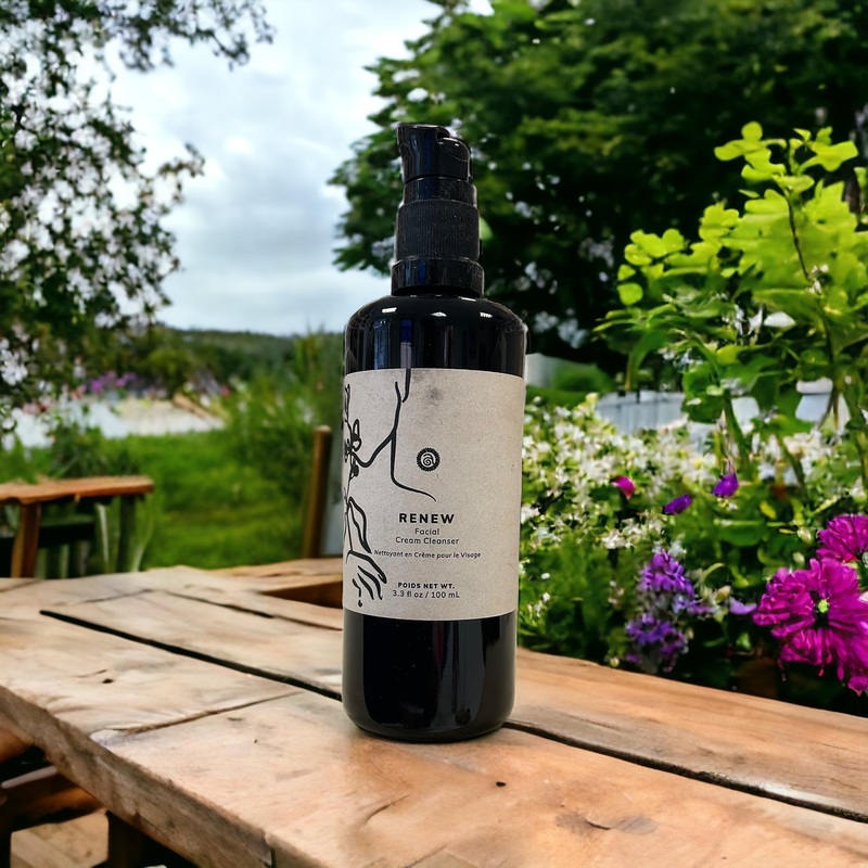 Renew Facial Cream Cleanser 100ml – Annmarie Skin Care