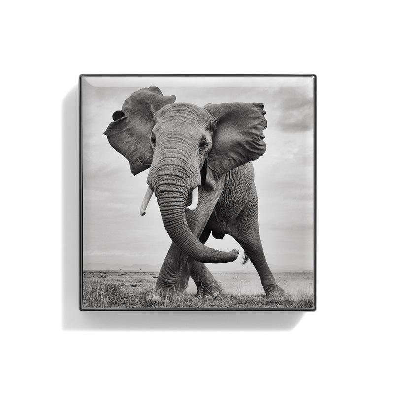 Luminescent Eye Shade Elephant 2g