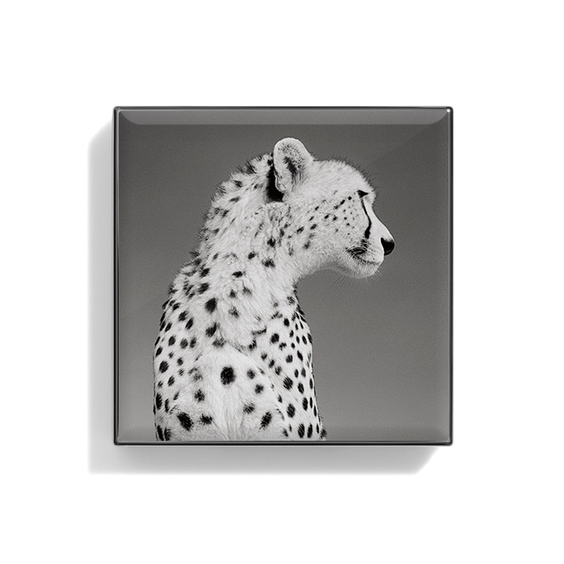 Luminescent Eye Shade Cheetah 2g